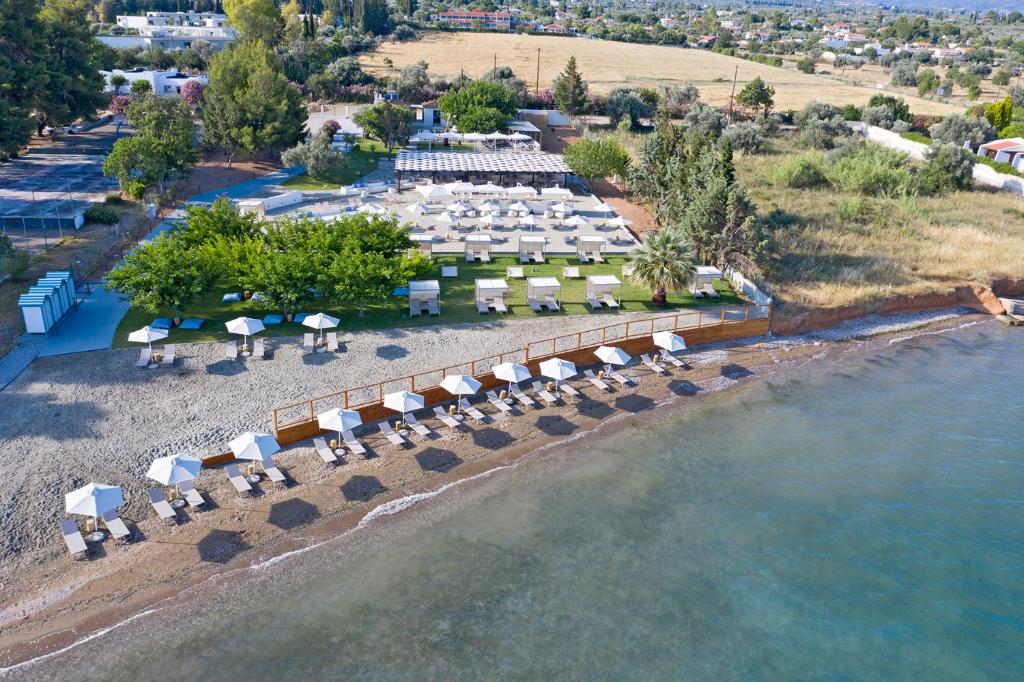 ERETRIA HOTEL & SPA RESORT 4*, ΕΡΕΤΡΙΑ , ΕΥΒΟΙΑ KAΛΟΚΑΙΡΙ (P29)